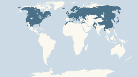 Map showing the distribution of the Goldeneye taxa