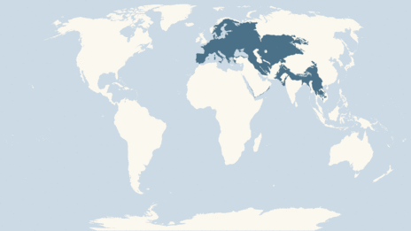 Map showing the distribution of the Noctule bat taxa