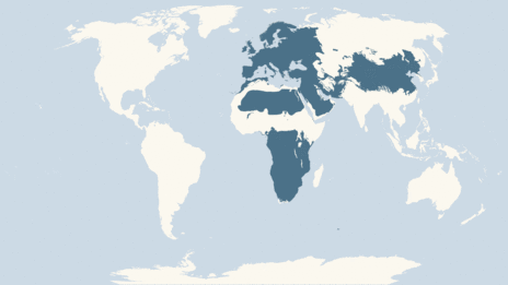 Map showing the distribution of the Common swift taxa