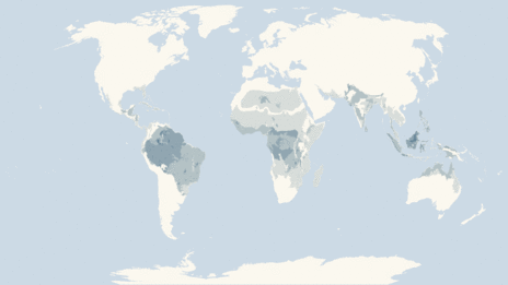 Map showing the distribution of the Crocodile family taxa