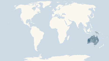 Map showing the distribution of the Dasyurid marsupials taxa