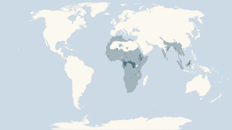 Map showing the distribution of the Elephants taxa