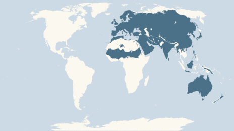 Map showing the distribution of the Coot taxa