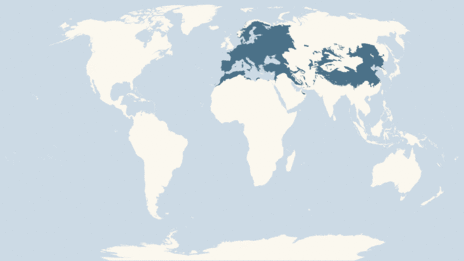 Map showing the distribution of the Eurasian eagle owl taxa
