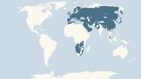 Map showing the distribution of the Hobby taxa