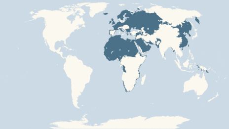 Map showing the distribution of the Oystercatcher taxa