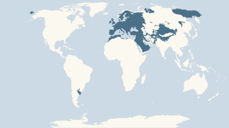 Map showing the distribution of the Goldfinch taxa