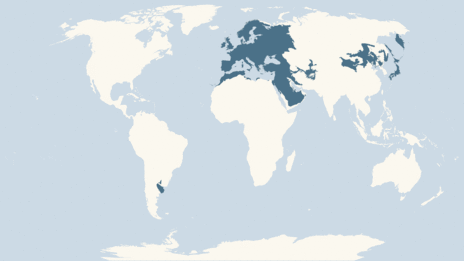 Map showing the distribution of the Greenfinch taxa