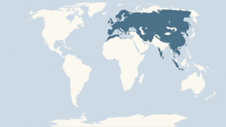 Map showing the distribution of the Otter taxa