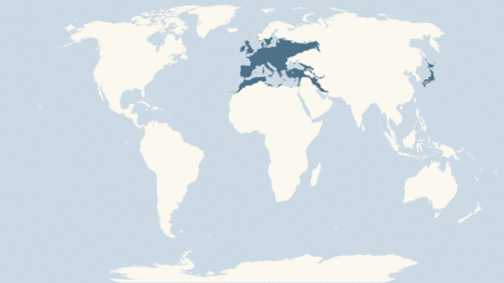 Map showing the distribution of the Robin taxa