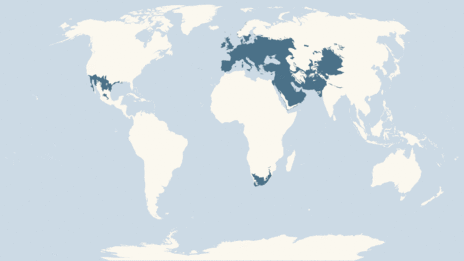 Map showing the distribution of the Starling taxa