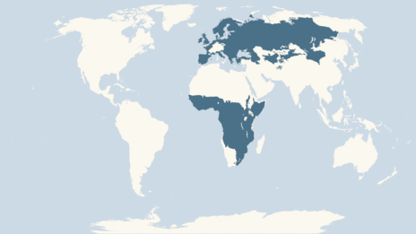 Map showing the distribution of the Garden warbler taxa