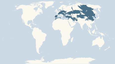 Map showing the distribution of the Great bustard taxa
