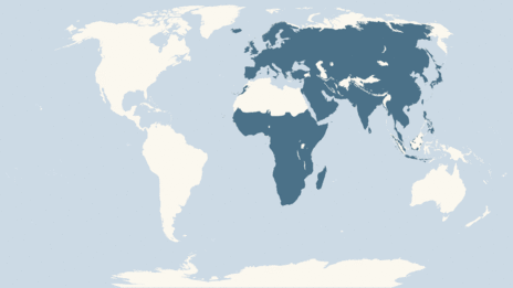 Map showing the distribution of the Grey heron taxa