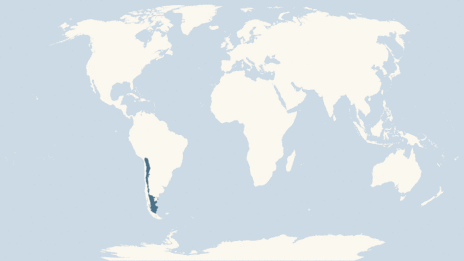 Map showing the distribution of the Guanaco taxa