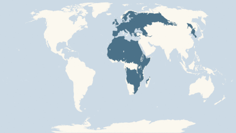 Map showing the distribution of the Honey buzzard taxa