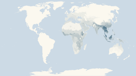 Map showing the distribution of the Horseshoe bats taxa
