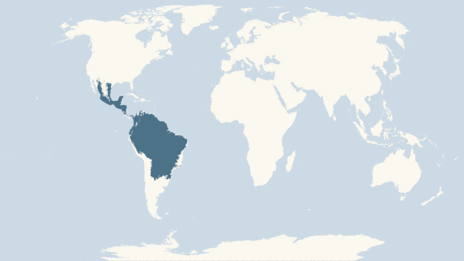 Map showing the distribution of the Jaguar taxa