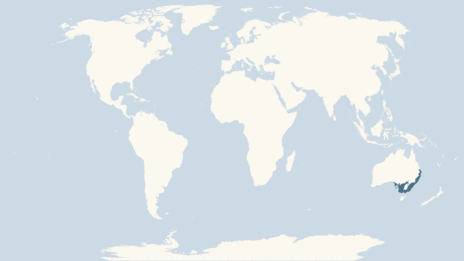 Map showing the distribution of the Koala taxa