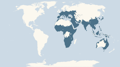 Map showing the distribution of the Little egret taxa
