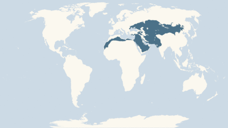 Map showing the distribution of the Long-eared hedgehog taxa