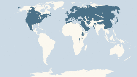 Map showing the distribution of the Long-eared owl taxa