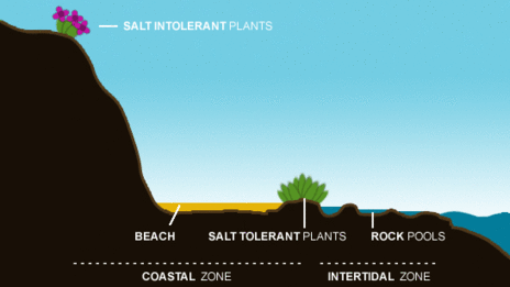 Map showing the location of the Coastal habitat