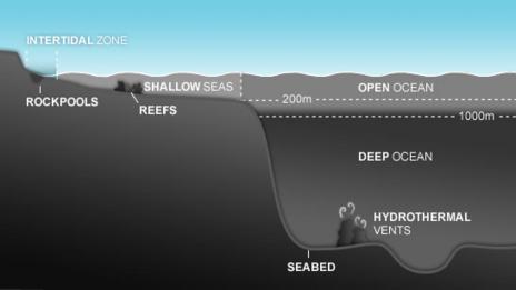 Map showing the location of the Intertidal zone habitat