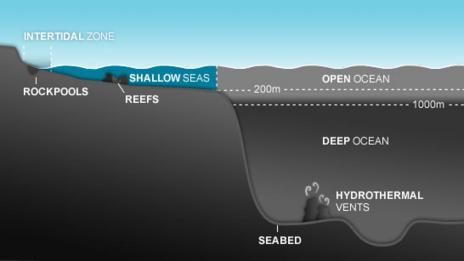 Map showing the location of the Shallow seas habitat