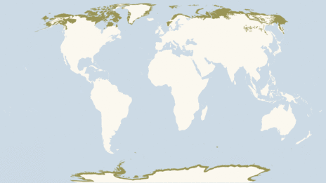 Tundra Location Map