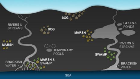 Map showing the location of the Wetlands habitat