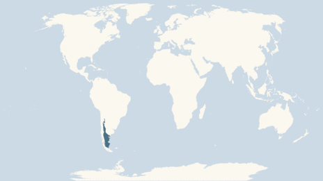 Map showing the distribution of the Magellanic penguin taxa