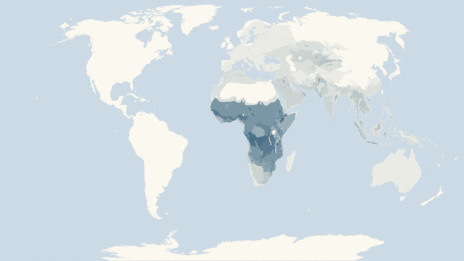 Map showing the distribution of the Bee-eaters (Merops) taxa