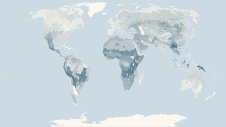 Map showing the distribution of the Old World rats and mice taxa