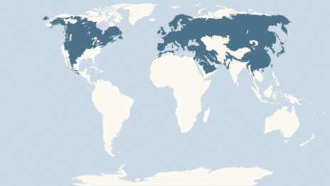 Map showing the distribution of the Northern goshawk taxa
