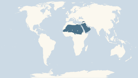 Map showing the distribution of the Nubian ibex taxa