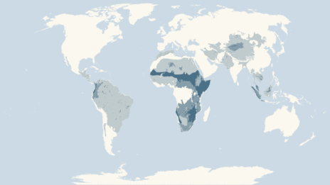 Map showing the distribution of the Odd-toed ungulates taxa