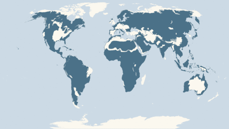Map showing the distribution of the Osprey taxa