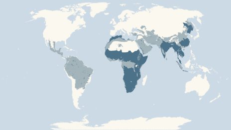 Map showing the distribution of the Roaring cats taxa