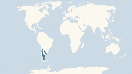 Map showing the distribution of the Patagonian mara taxa