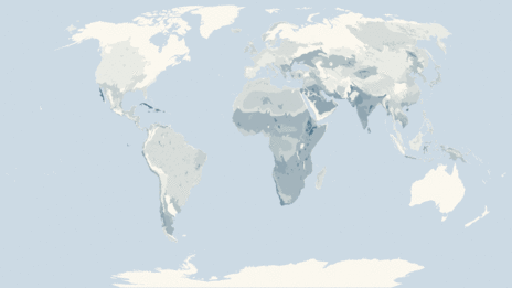 Map showing the distribution of the Pelicans, cormorants and gannets taxa