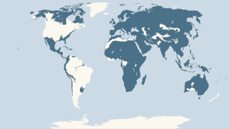 Map showing the distribution of the Peregrine falcon taxa
