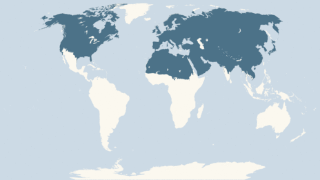 Map showing the distribution of the Red fox taxa