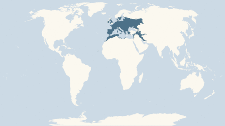 Map showing the distribution of the Red kite taxa