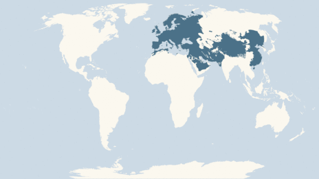 Map showing the distribution of the Reed bunting taxa