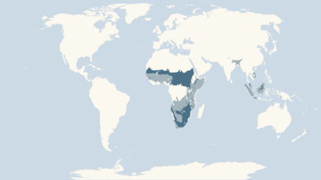 Map showing the distribution of the Rhinoceroses taxa