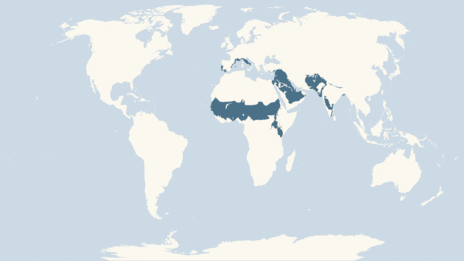 Map showing the distribution of the Ring-necked parakeet taxa