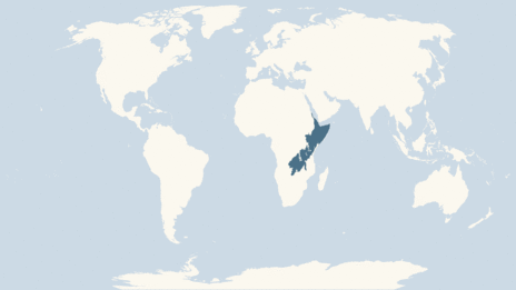 Map showing the distribution of the Rufous elephant shrew taxa