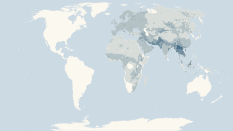 Map showing the distribution of the Chats taxa