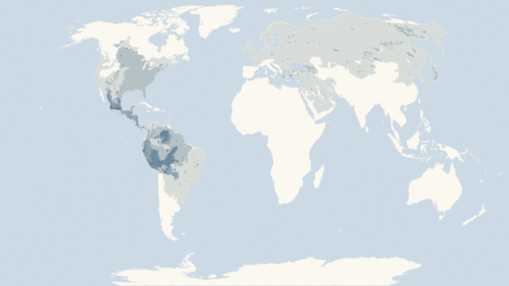 Map showing the distribution of the Bushy-tailed squirrels taxa